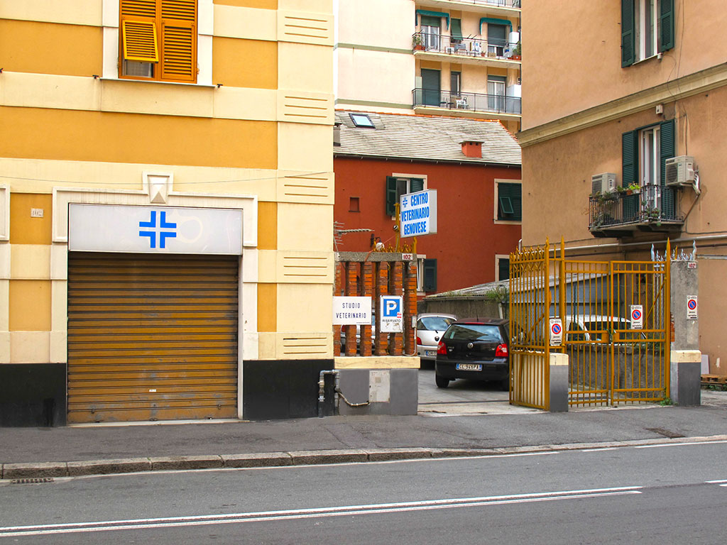 Lo studio veterinario a Genova, in via Barabino