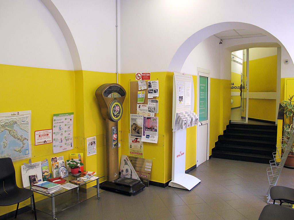 Lo studio veterinario a Genova, in via Barabino