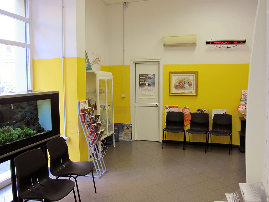Lo studio veterinario a Genova, in via Barabino