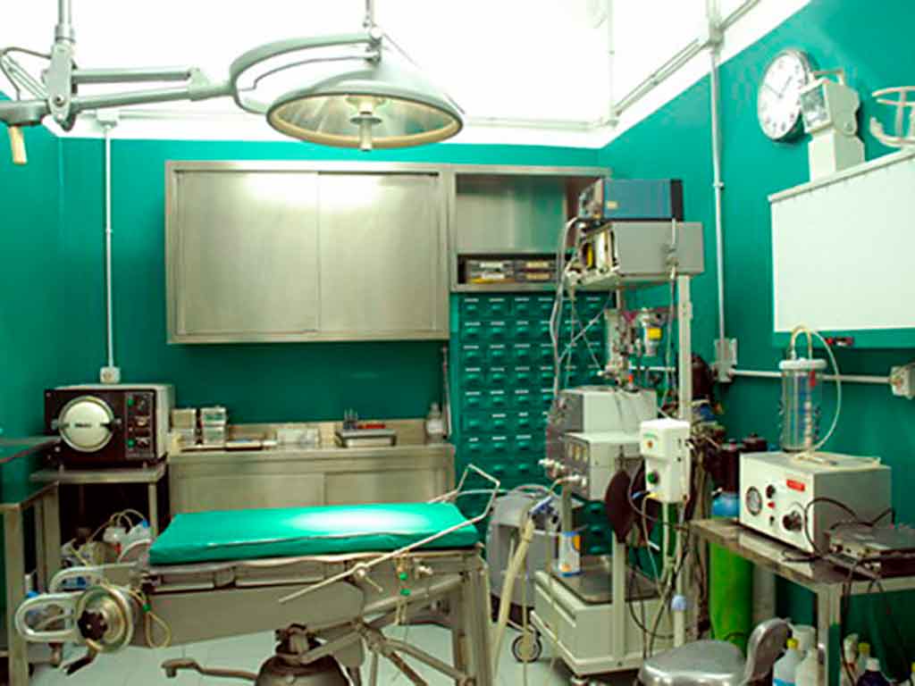 Lo studio veterinario a Genova, in via Barabino