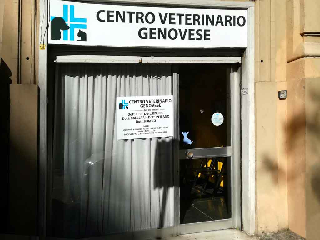 Lo studio veterinario a Genova, in corso Carbonara
