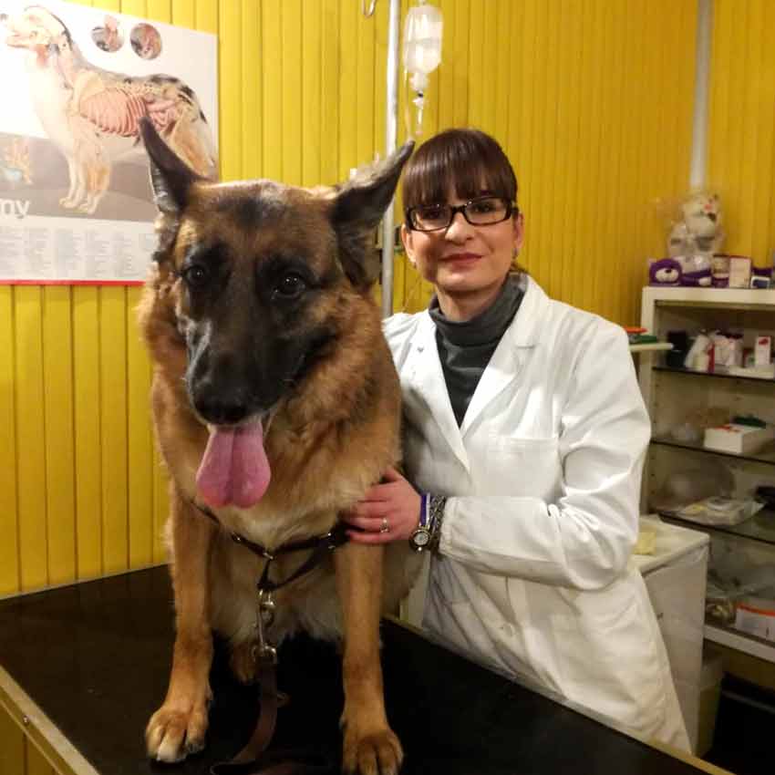 Dott.sa C. Gili, Veterinario a Genova Medicina interna