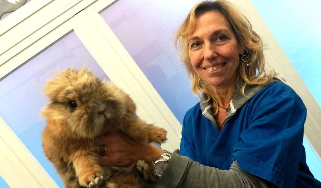 Dott.sa R. Bellini, Veterinario a Genova per animali esotici