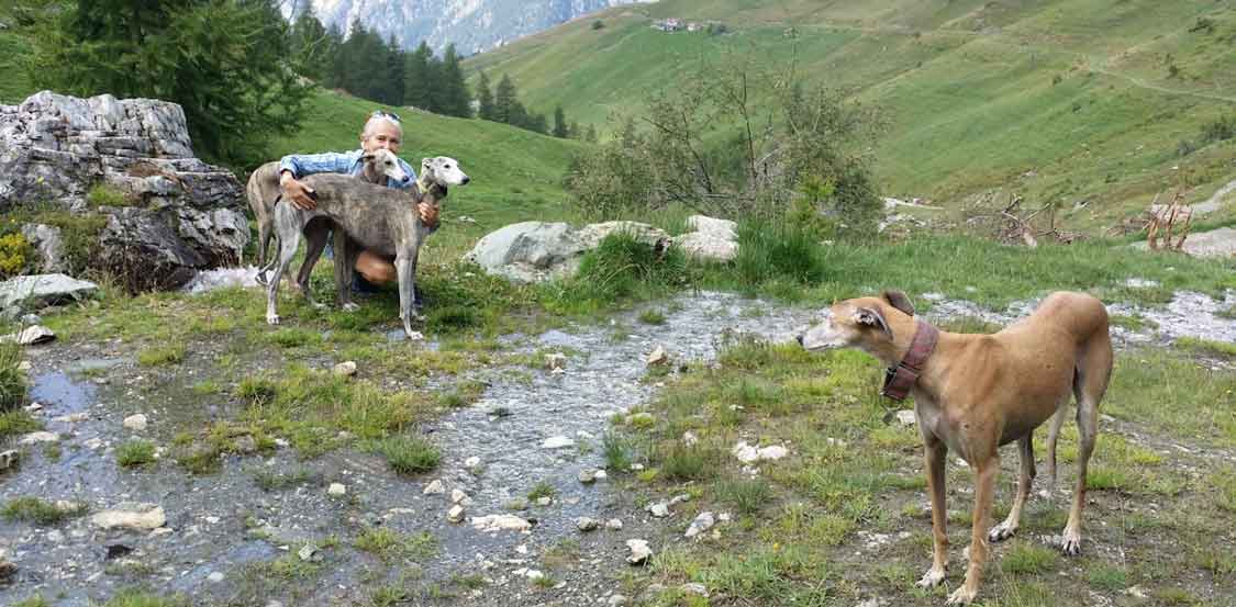 La Dottoressa Strata, veterinario a Recco, con i suoi levrieri La Dottoressa Strata, veterinario a Recco, con i suoi levrieri